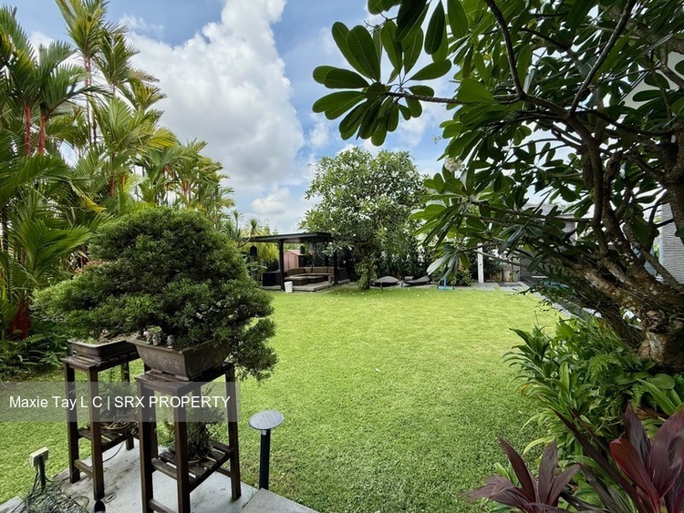 Braddell Heights Estate (D13), Detached #540385311